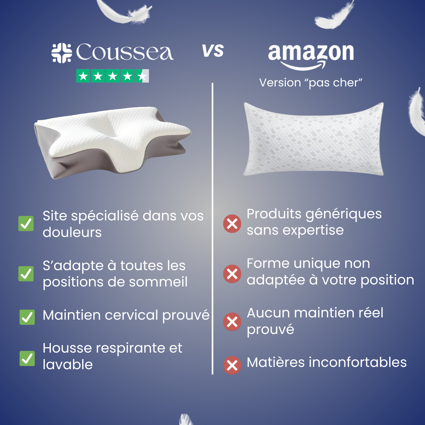 L'Oreiller Sommeil Pure Template SRN