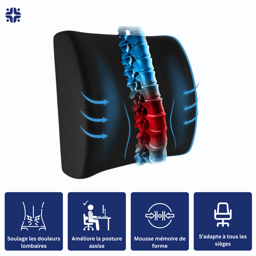 Coussin Orthopédique Dossier - Coussea