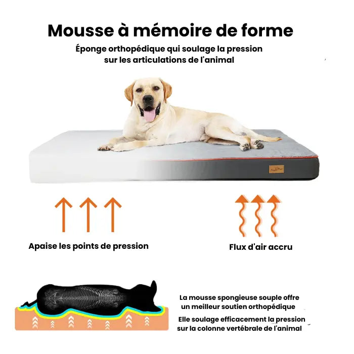 Lit En Mousse Orthopédique Pour Chien | Sérénité Royale - Coussea