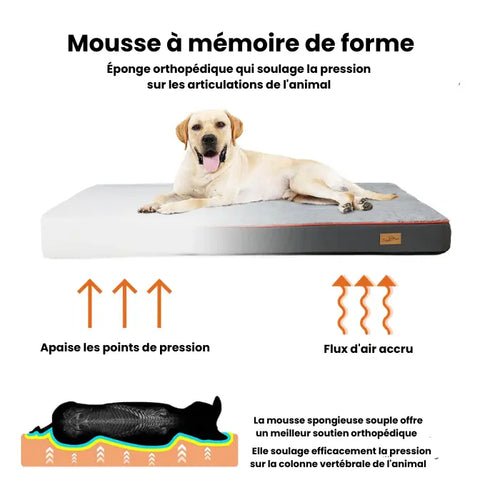 Lit En Mousse Orthopédique Pour Chien | Sérénité Royale - Coussea