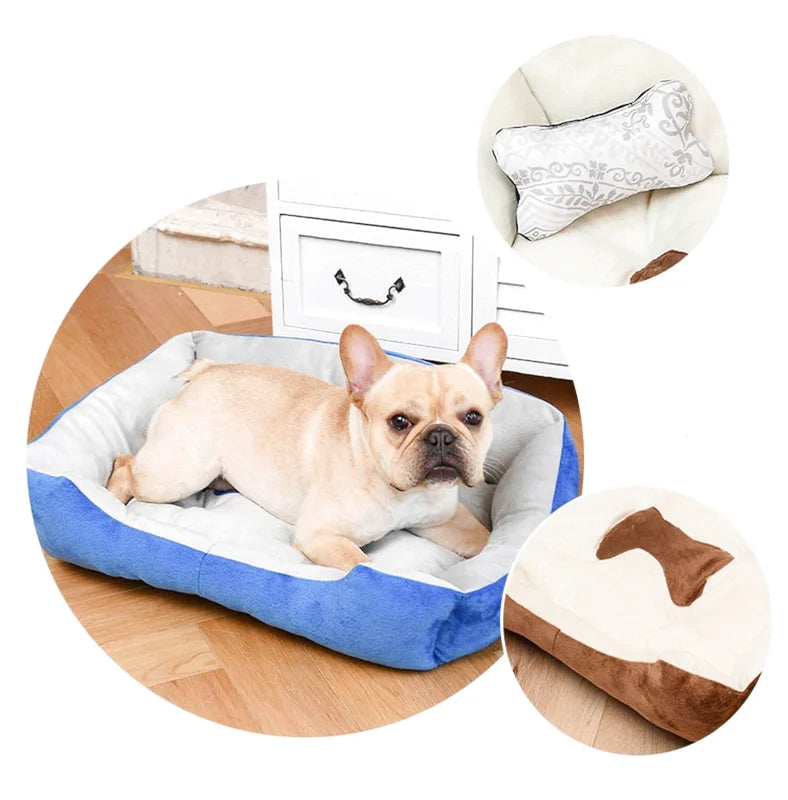 Coussin Orthopédique À Mémoire De Forme Pour Chien - Coussea