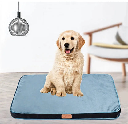 Coussin Rembourré Orthopédique Pour Chien - Coussea