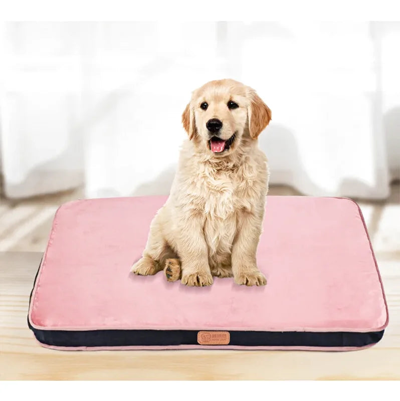 Coussin Rembourré Orthopédique Pour Chien - Coussea