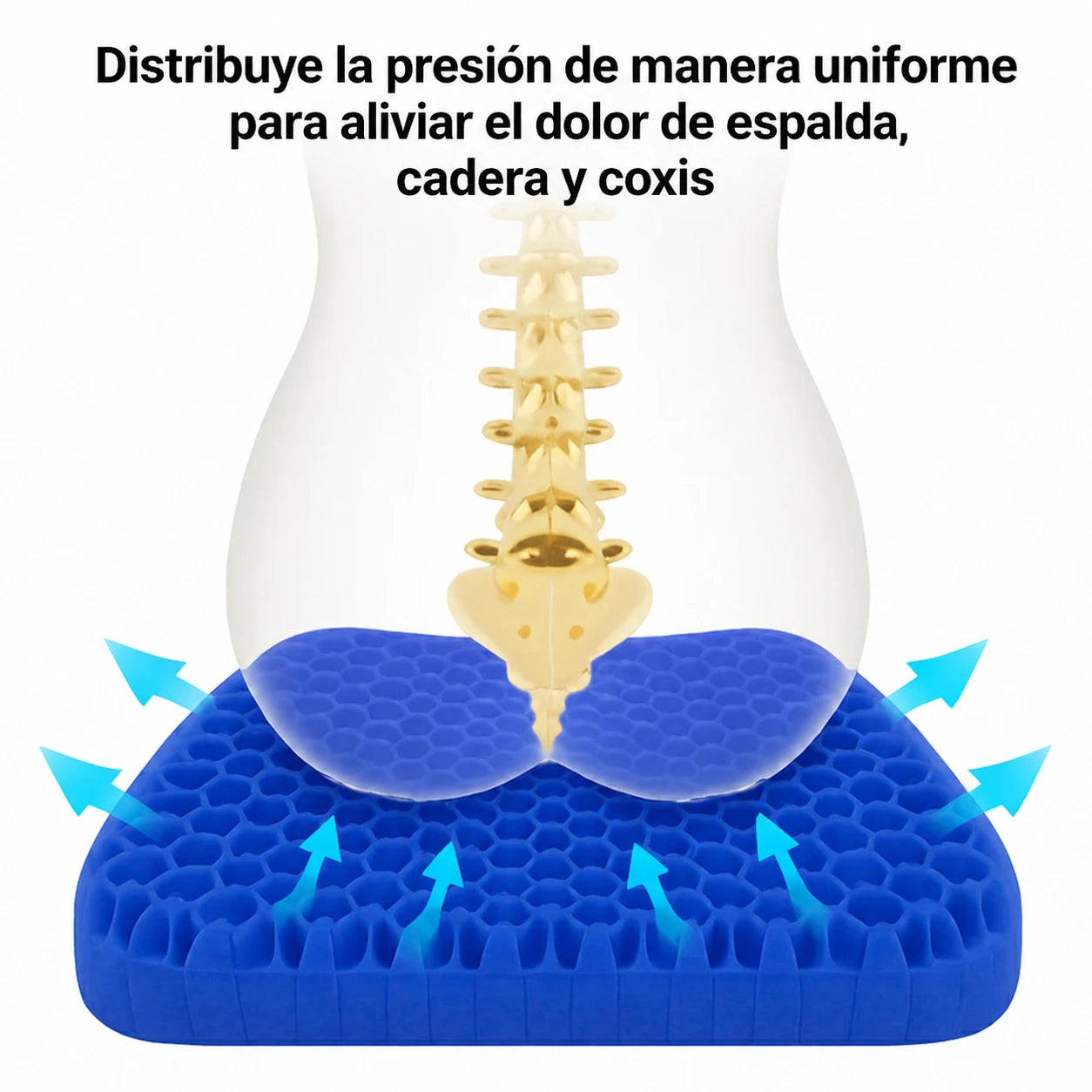 The Zero Cushion™ Coussea