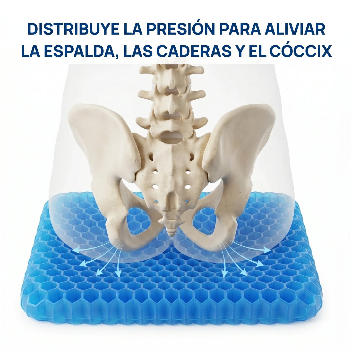 The Zero Cushion™ Coussea
