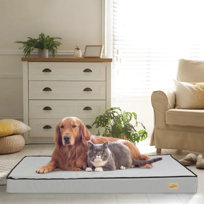 Lit Orthopédique À Mémoire De Forme Pour Chien - Coussea