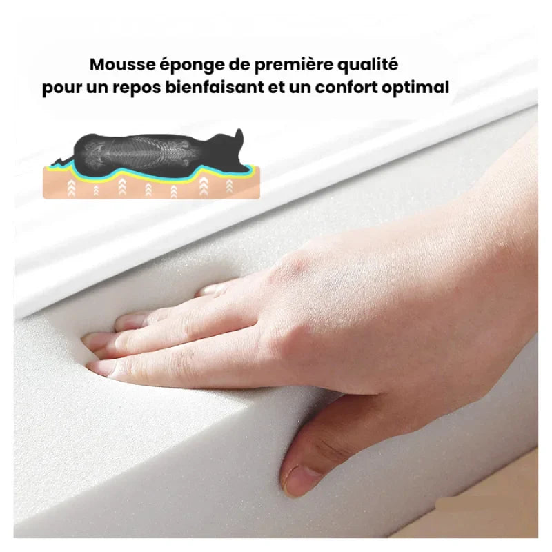 Coussin Orthopédique Xxl Pour Chien - Coussea