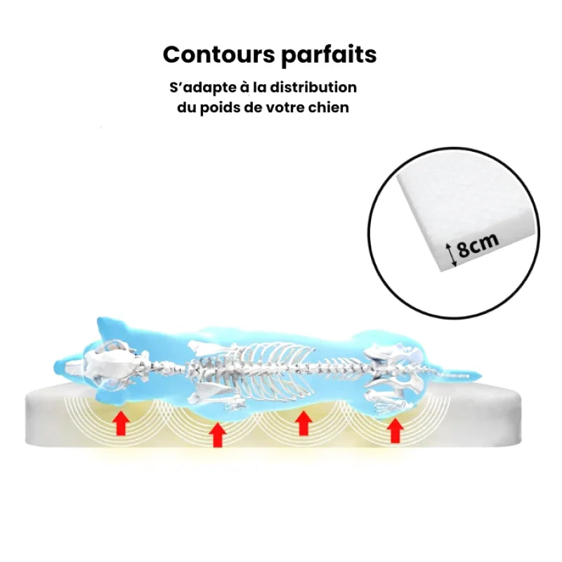 Lit Xxl À Mémoire De Forme Pour Chien - Coussea