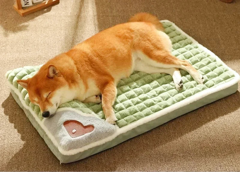 Matelas Orthopédique Pour Chien - Coussea