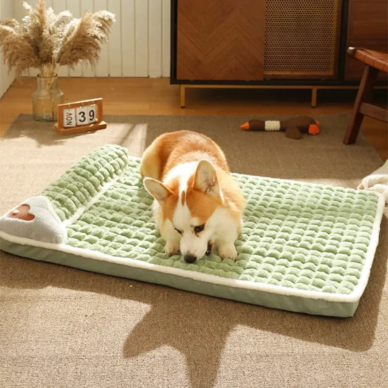 Matelas Orthopédique Pour Chien - Coussea