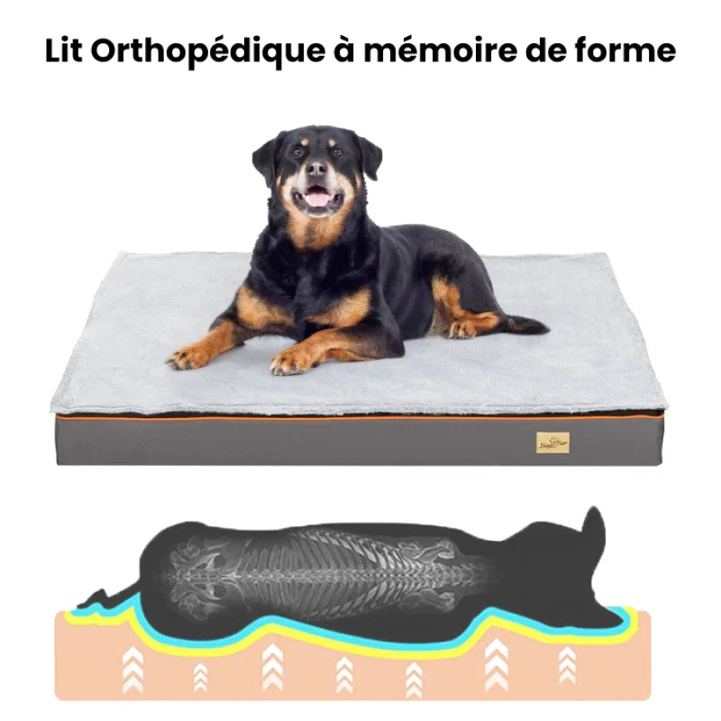 Matelas Orthopédique Anti Arthrose Pour Chien | Repos Royal - Coussea