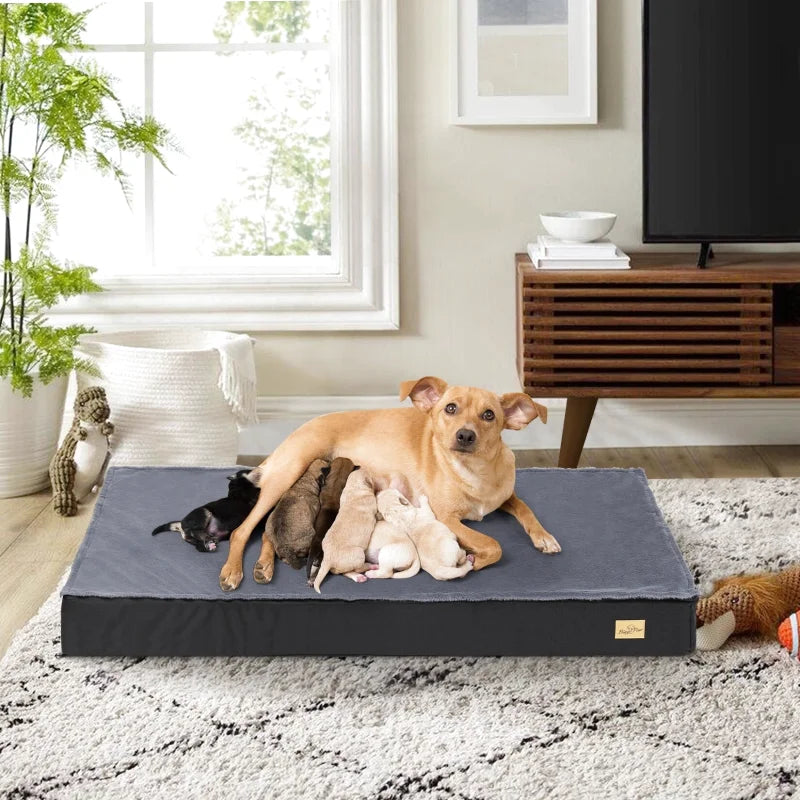 Matelas Orthopédique Anti Arthrose Pour Chien | Repos Royal - Coussea