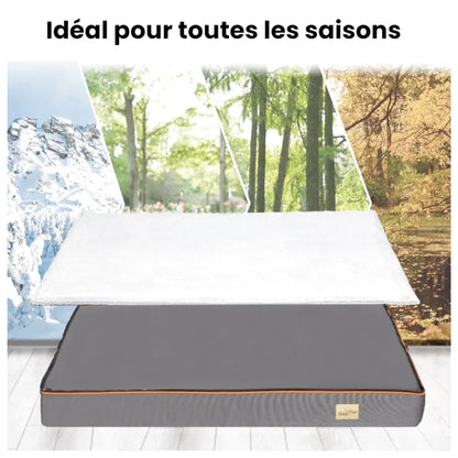Matelas Orthopédique Anti Arthrose Pour Chien | Repos Royal - Coussea