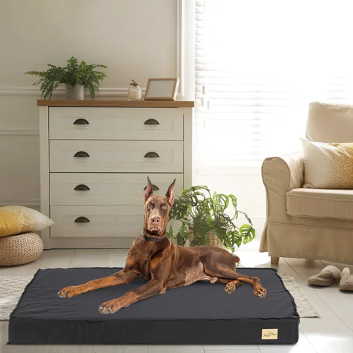 Matelas Orthopédique Anti Arthrose Pour Chien | Repos Royal - Coussea