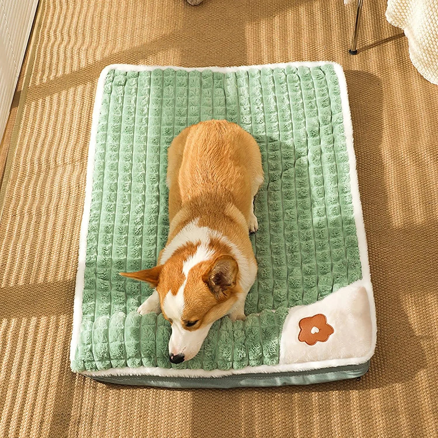 Matelas Orthopédique Pour Chien - Coussea