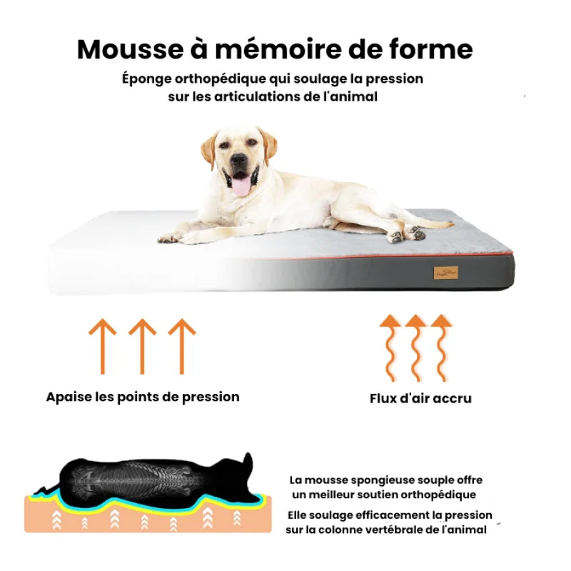 Matelas Orthopédique À Mémoire De Forme Pour Chien - Coussea