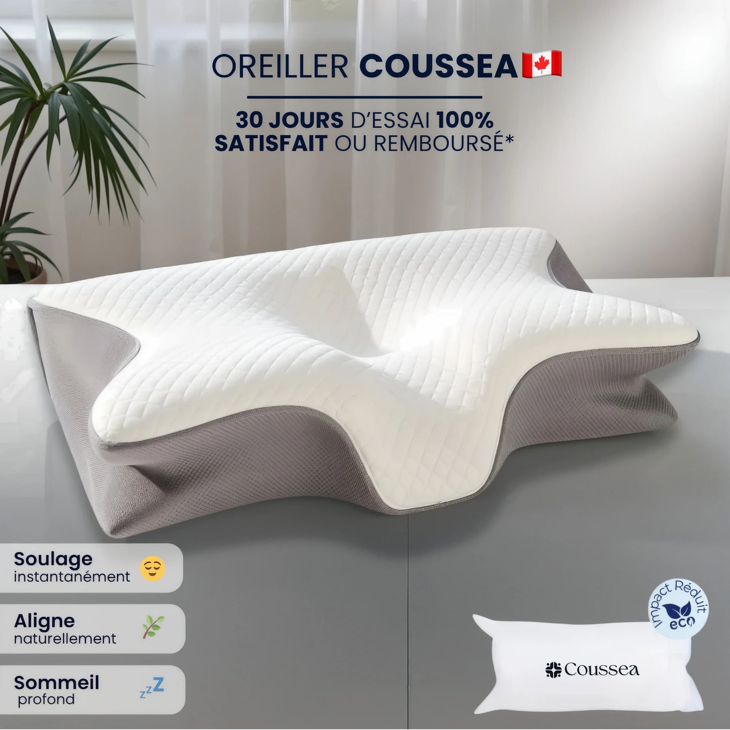 L'Oreiller Sommeil Pure Template SRN